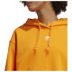 Adidas Γυναικείο φούτερ Hoodie